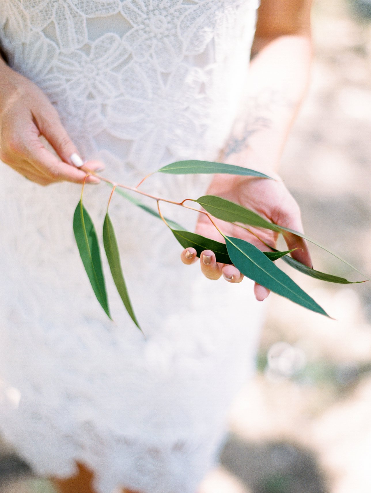Boyce Thompson Arboretum engagement photos - Scottsdale Wedding Photographer | Rachel Solomon Photography_6640