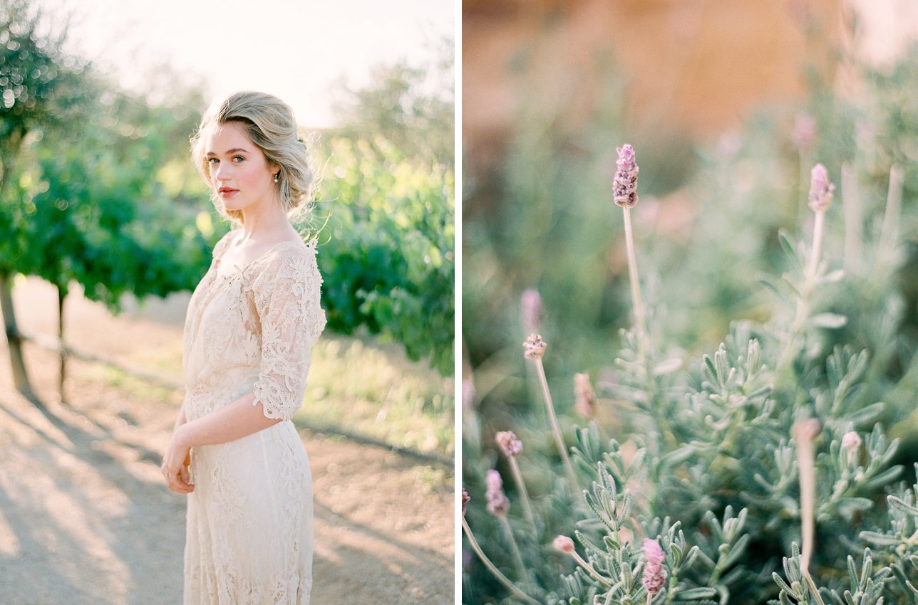 Scottsdale Wedding Photographer | Rachel Solomon Photography_7215