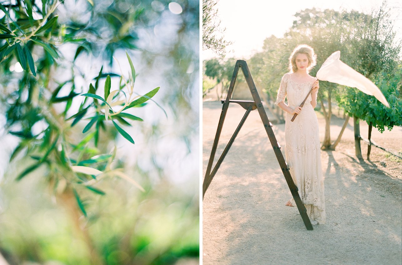 Scottsdale Wedding Photographer | Rachel Solomon Photography_7222