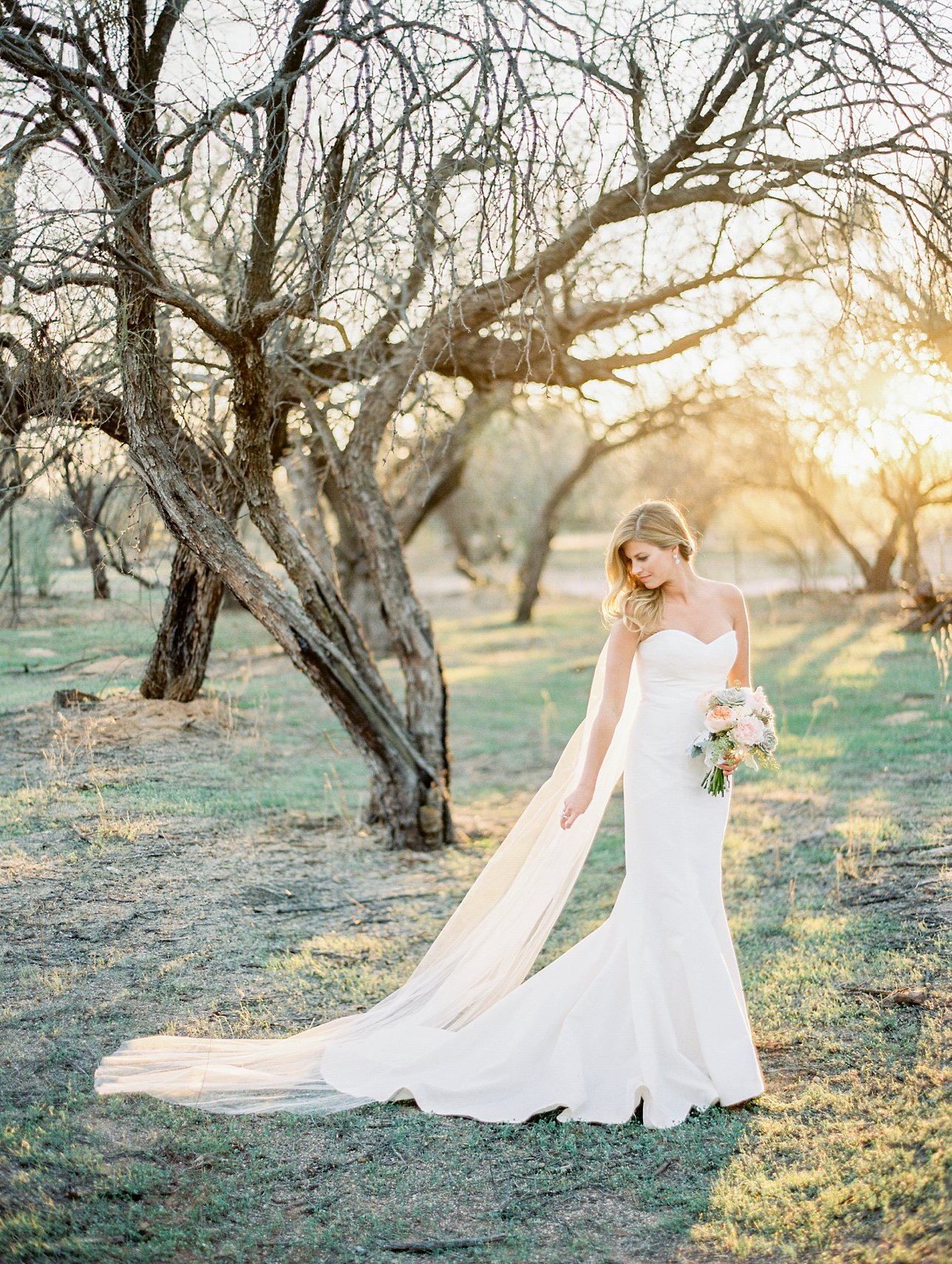 Private Estate wedding photos - Scottsdale Wedding Photographer | Rachel Solomon Photography_7821