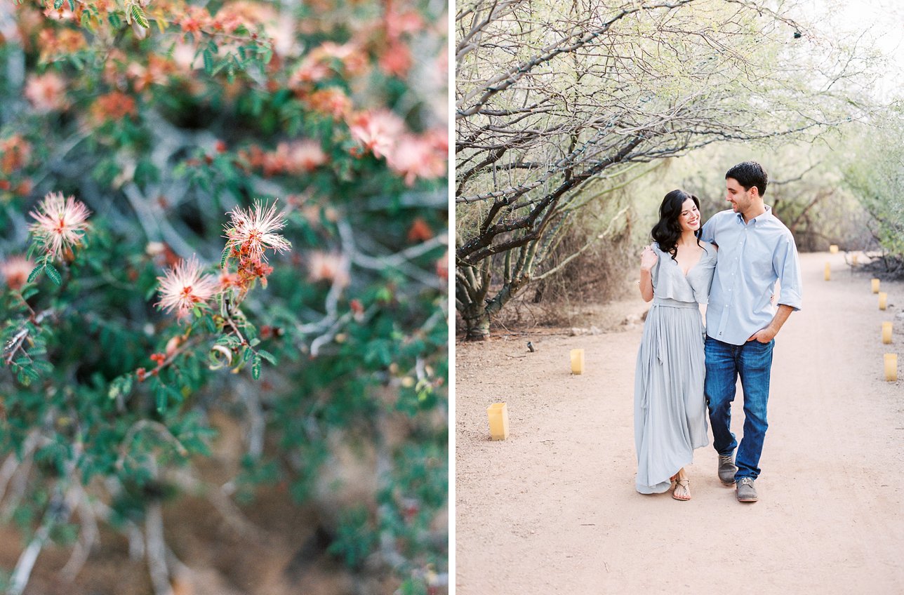 Desert Botanical Garden engagement photos - Scottsdale Wedding Photographer | Rachel Solomon Photography_7846
