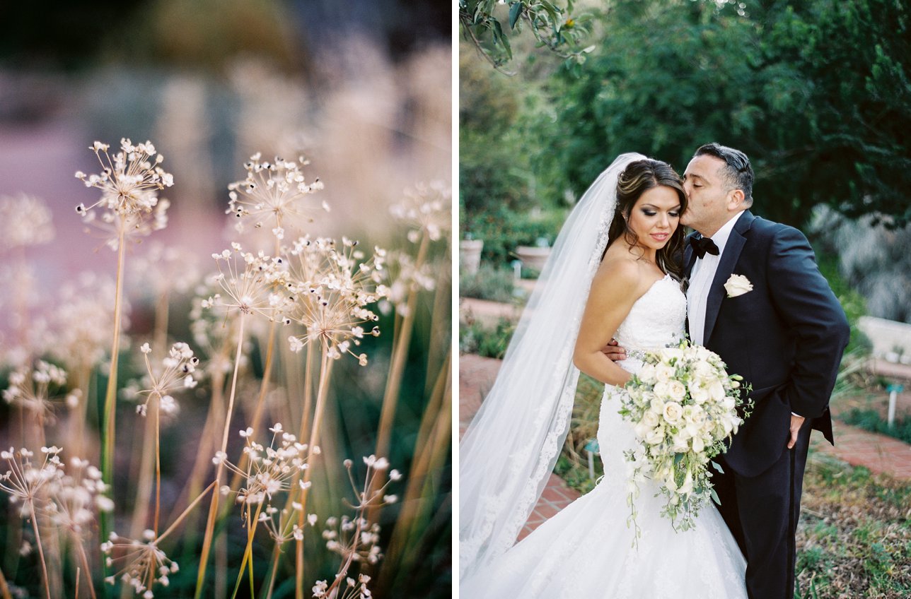 UCR Botanic Garden Wedding Photos - Scottsdale Wedding Photographer | Rachel Solomon Photography_7891