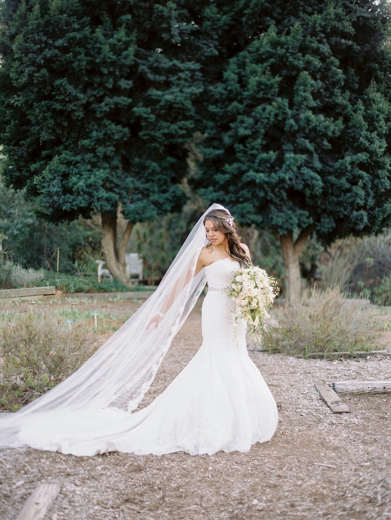 UCR Botanic Garden Wedding Photos - Scottsdale Wedding Photographer | Rachel Solomon Photography_7892
