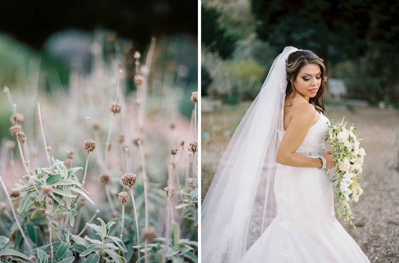 UCR Botanic Garden wedding photos - Scottsdale Wedding Photographer | Rachel Solomon Photography_7904b