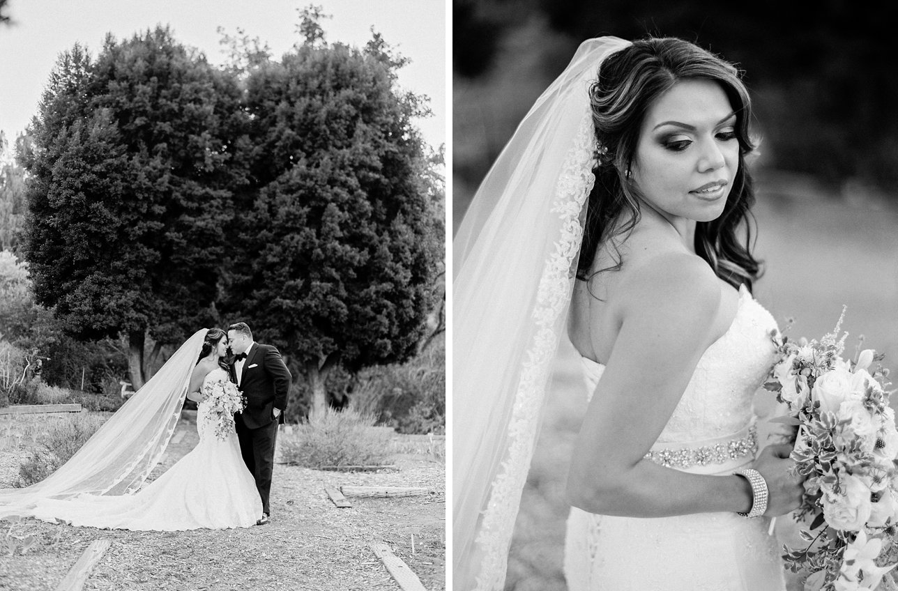 Scottsdale Wedding Photographer | Rachel Solomon Photography_7904d