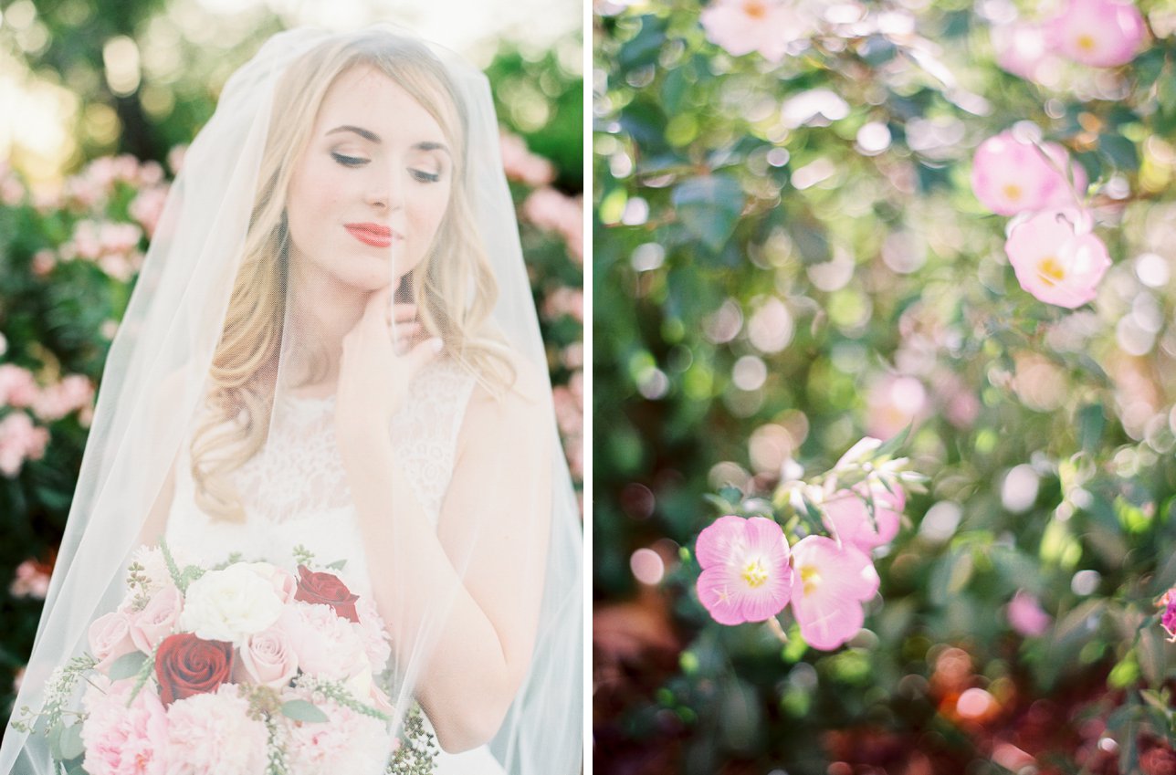Scottsdale Wedding Photographer | Rachel Solomon Photography_8413