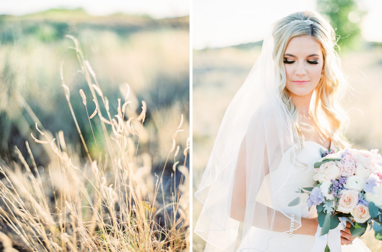 Scottsdale Wedding Photographer | Rachel Solomon Photography_8529