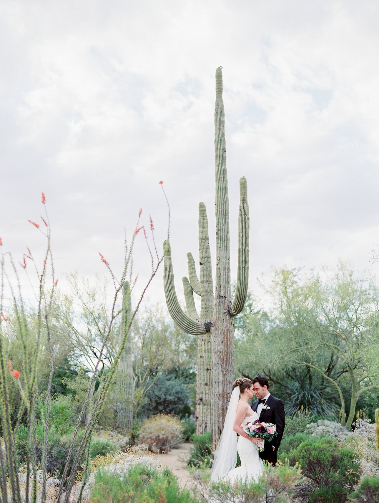 Four Seasons Scottsdale wedding photos - Scottsdale Wedding Photographer | Rachel Solomon Photography_8815