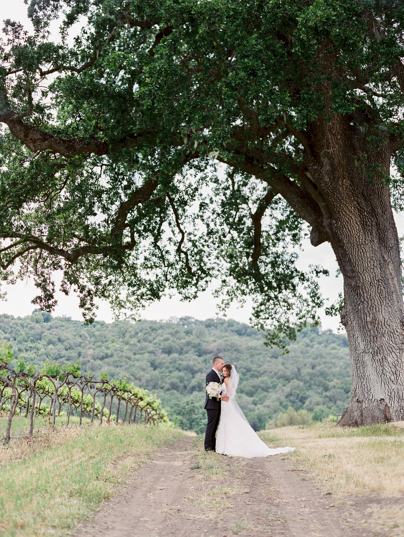 HammerSky Vineyards wedding photos - Paso Robles Wedding Photographer | Rachel Solomon Photography_9037