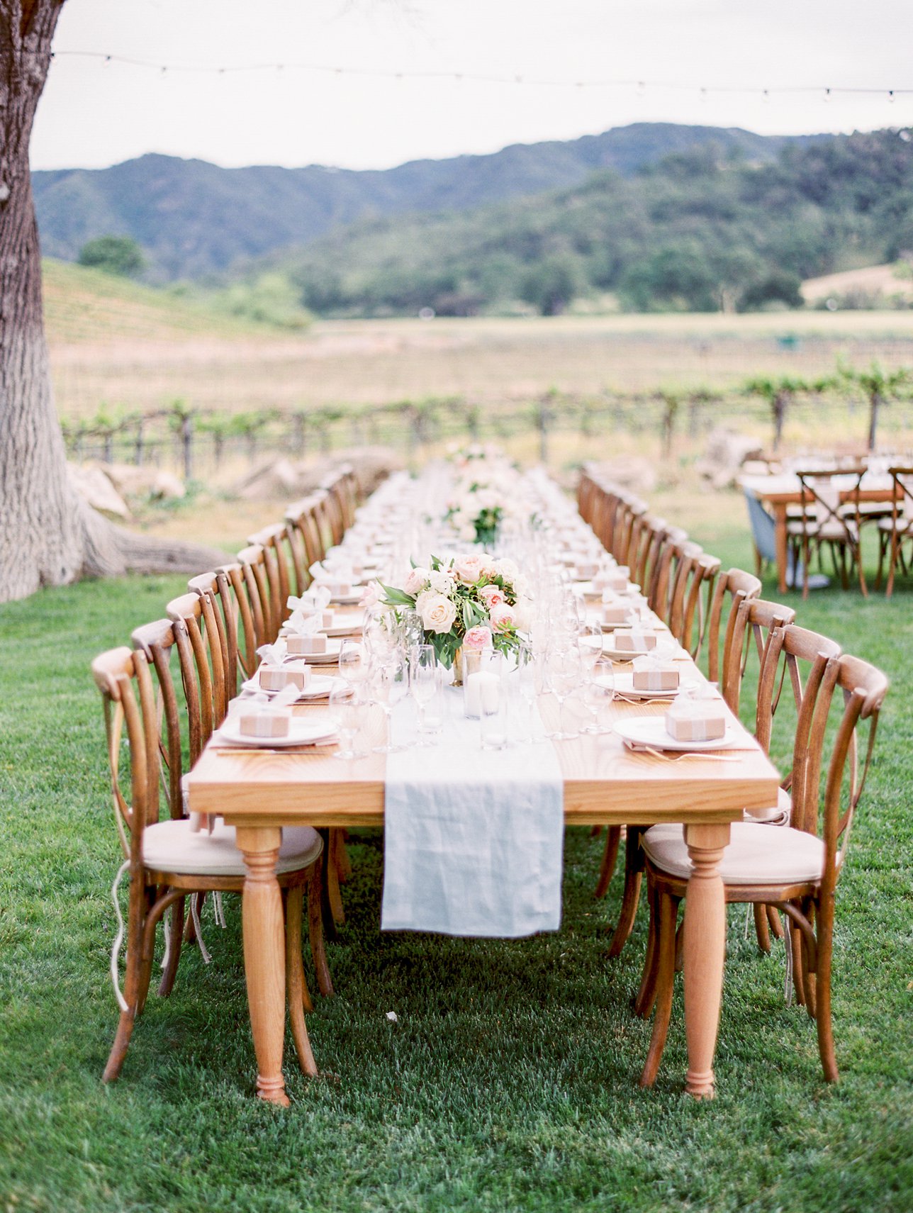 HammerSky Vineyards wedding photos - Paso Robles Wedding Photographer | Rachel Solomon Photography_9074