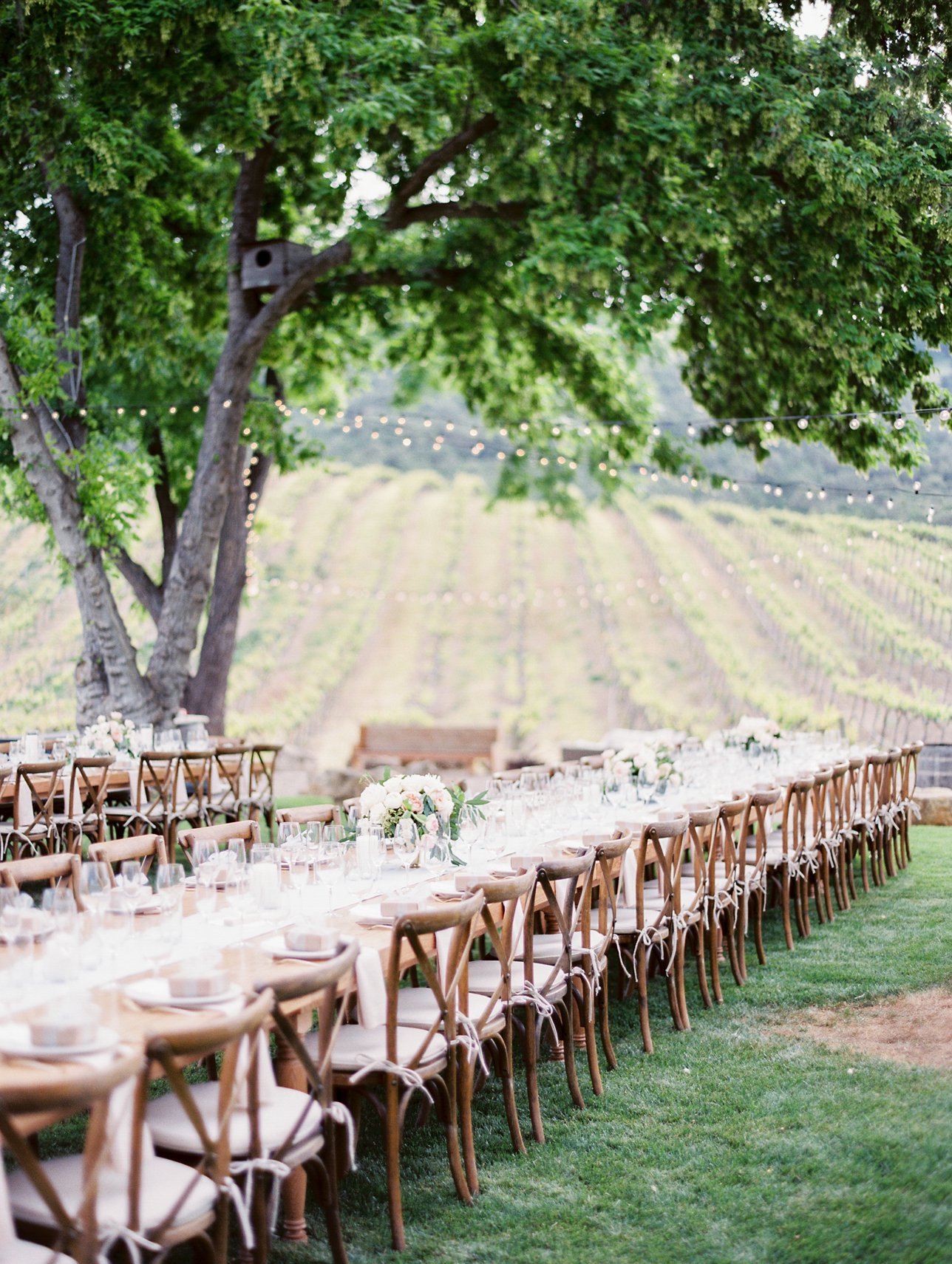 HammerSky Vineyards wedding photos - Paso Robles Wedding Photographer | Rachel Solomon Photography_9078