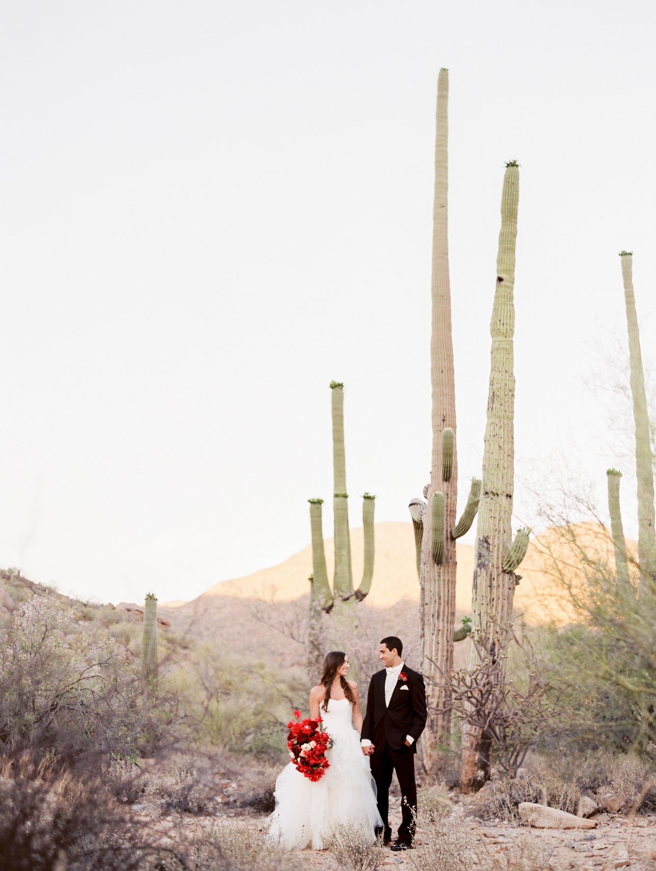 Ritz Carlton Dove Mountain wedding photos - Scottsdale Wedding Photographer | Rachel Solomon Photography_9225