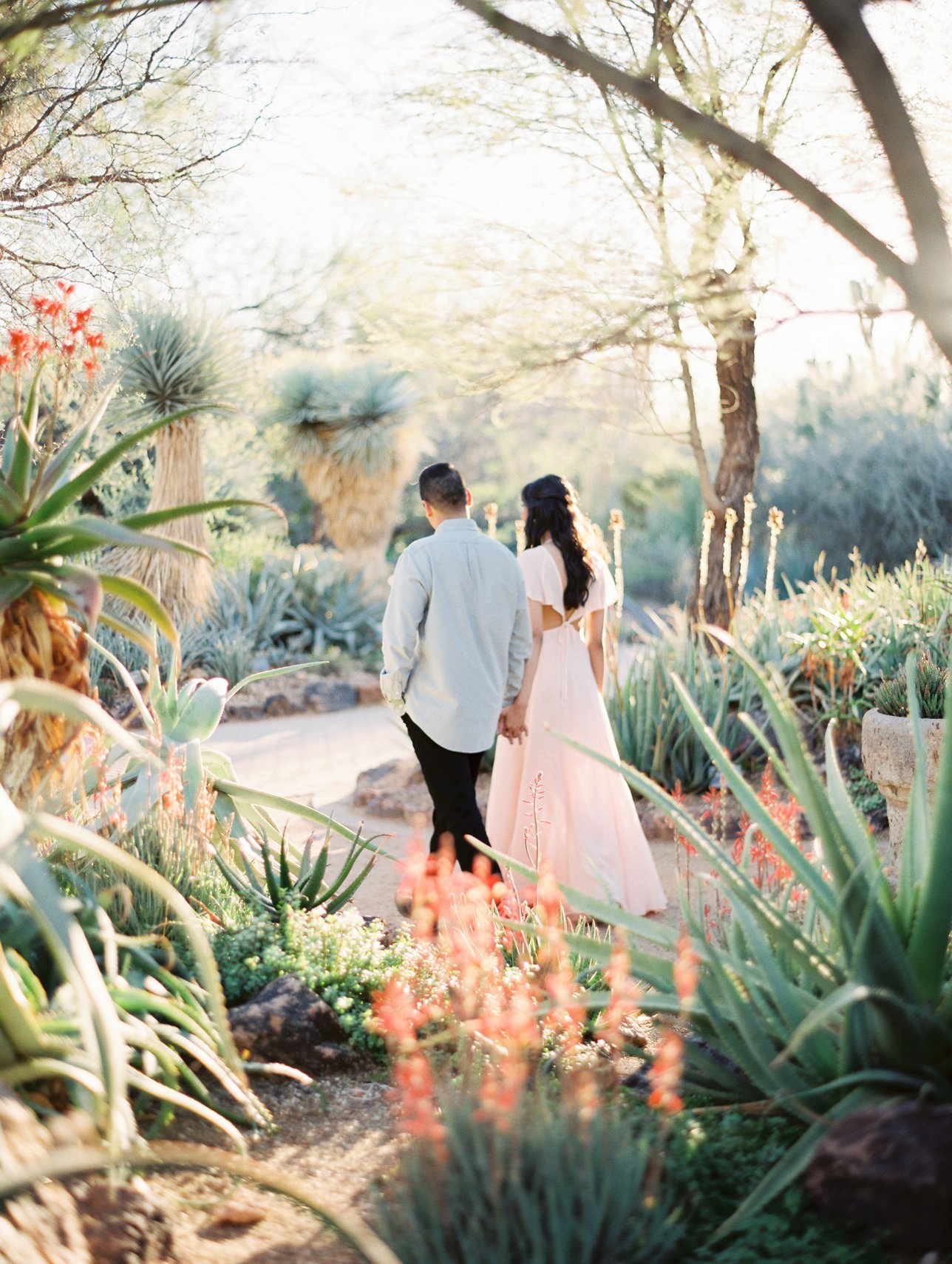 Desert Botanical Garden engagement photos - Scottsdale engagement photographer - Rachel Solomon Photography