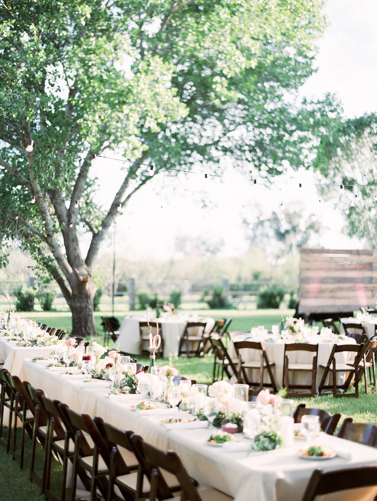 Tucson private estate wedding - Rachel Solomon Photography