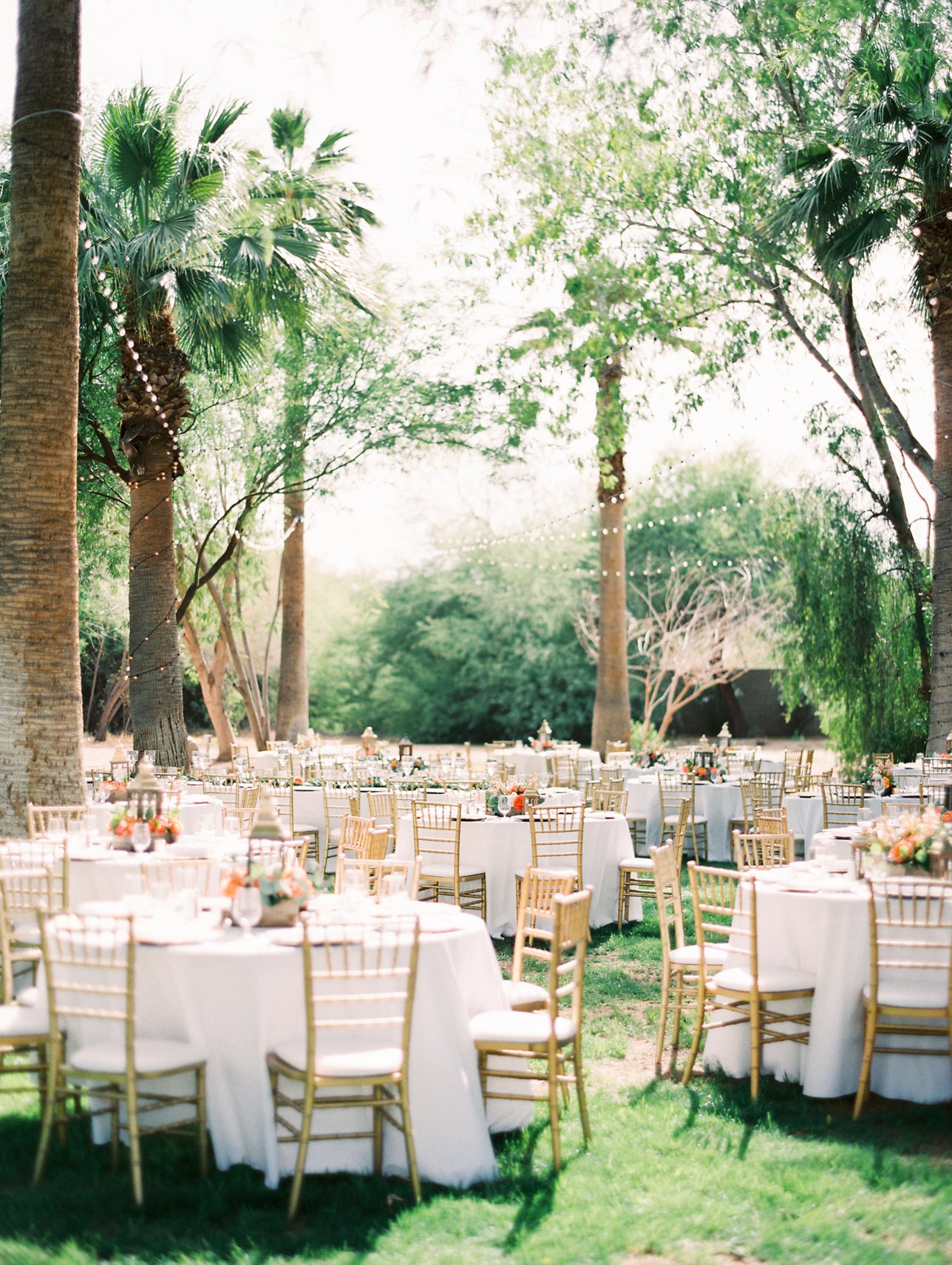Secret Garden wedding photos - Scottsdale Wedding Photographer - Rachel Solomon Photography