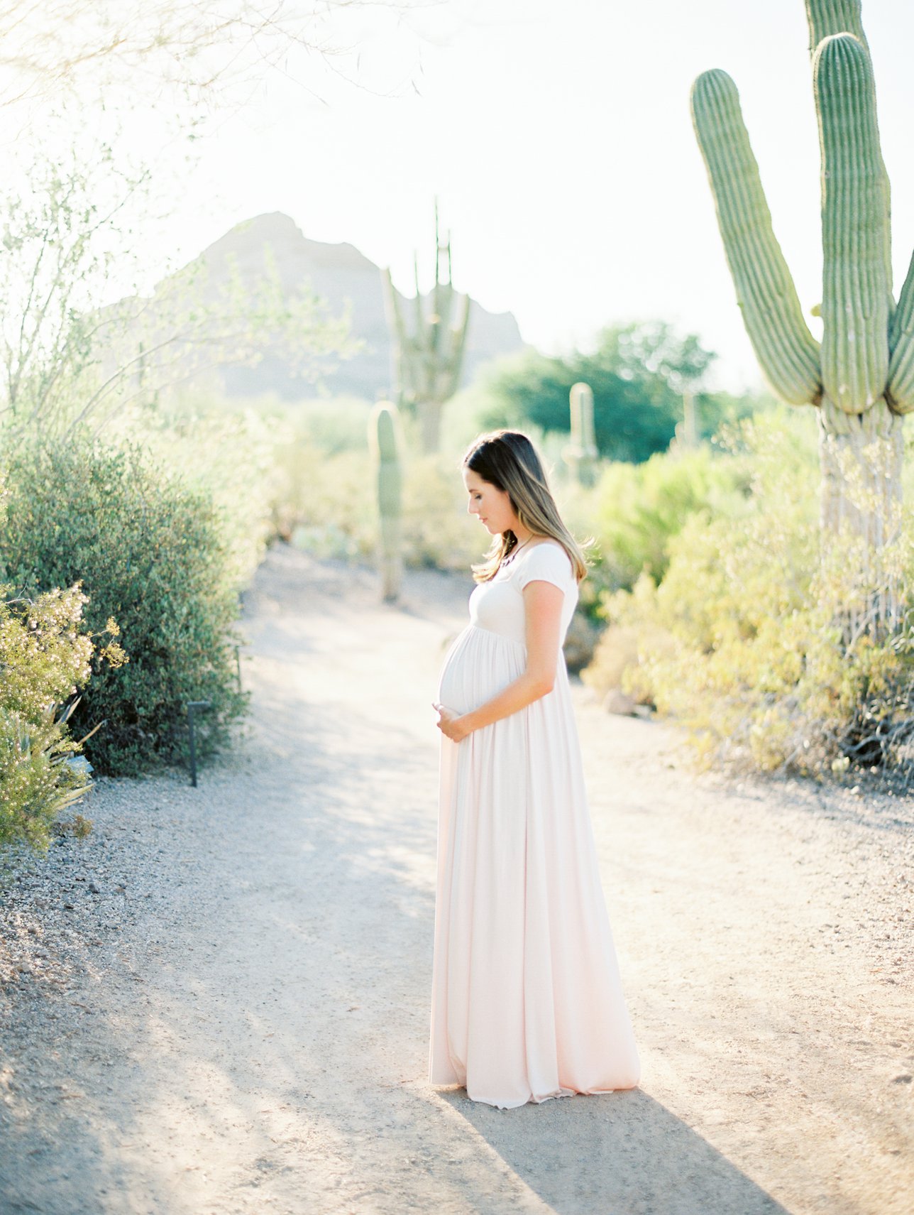 Desert maternity photos - Rachel Solomon Photography