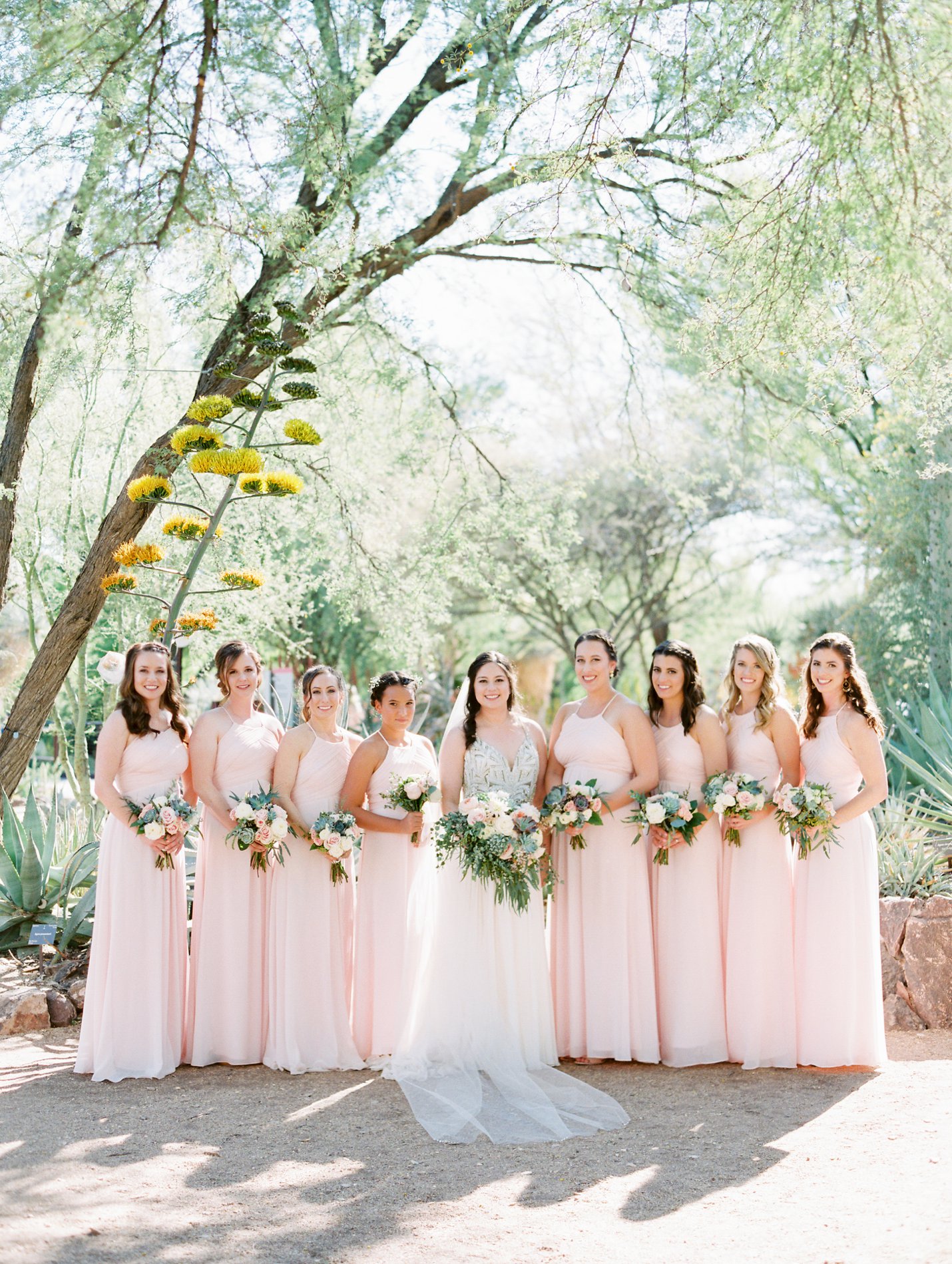 Desert Botanical Garden Wedding - Rachel Solomon Photography