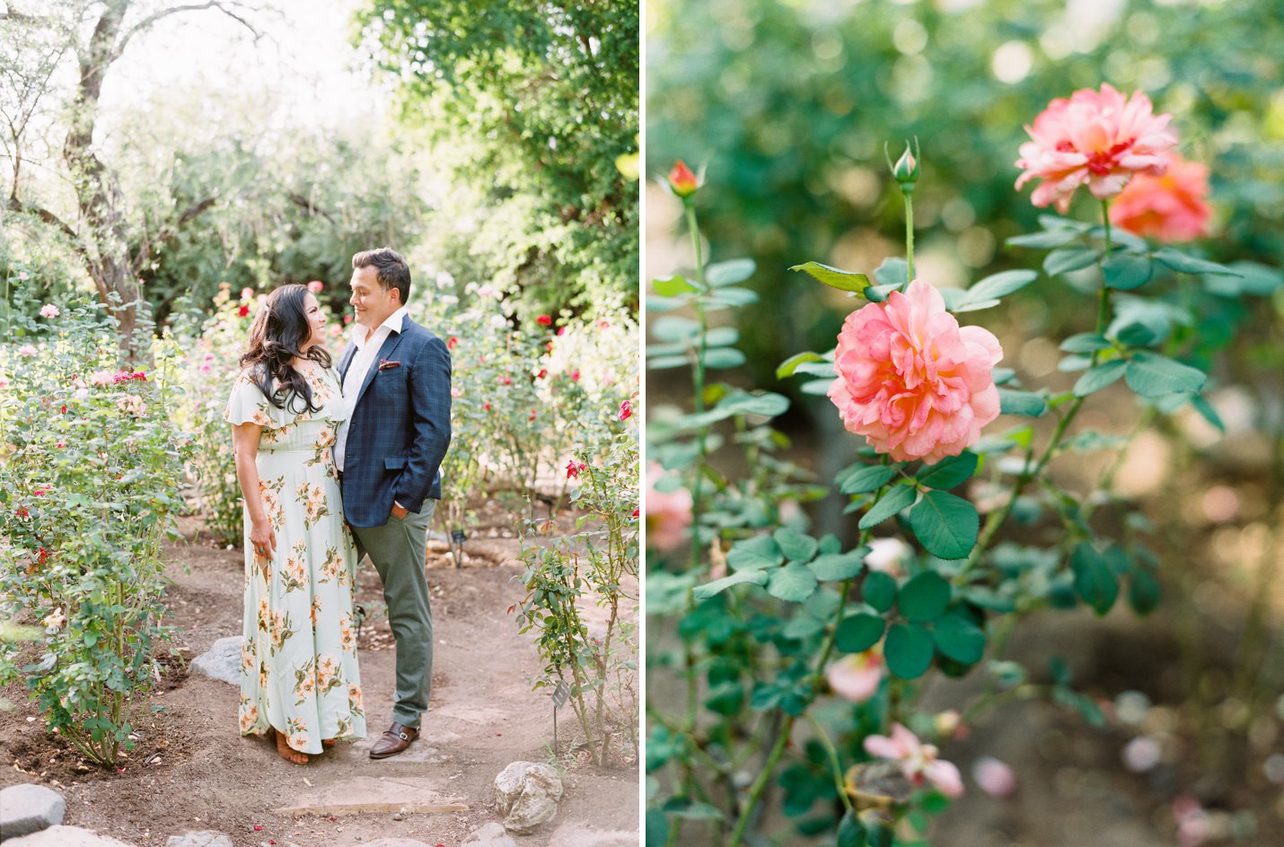 Boyce Thompson Arboretum Engagement - Scottsdale Wedding Photographer - Rachel Solomon Photography